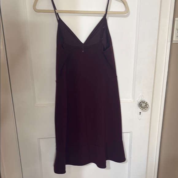 Express Burgundy Spaghetti Strap Slip Mini Dress - Picture 12 of 13